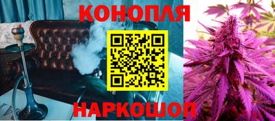 прущие грибы Обь